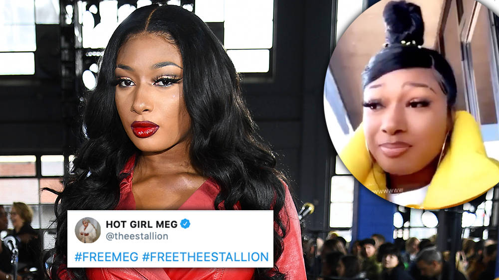 Megan Thee Stallion Reacts To Ex NFLer Larry Johnsons 