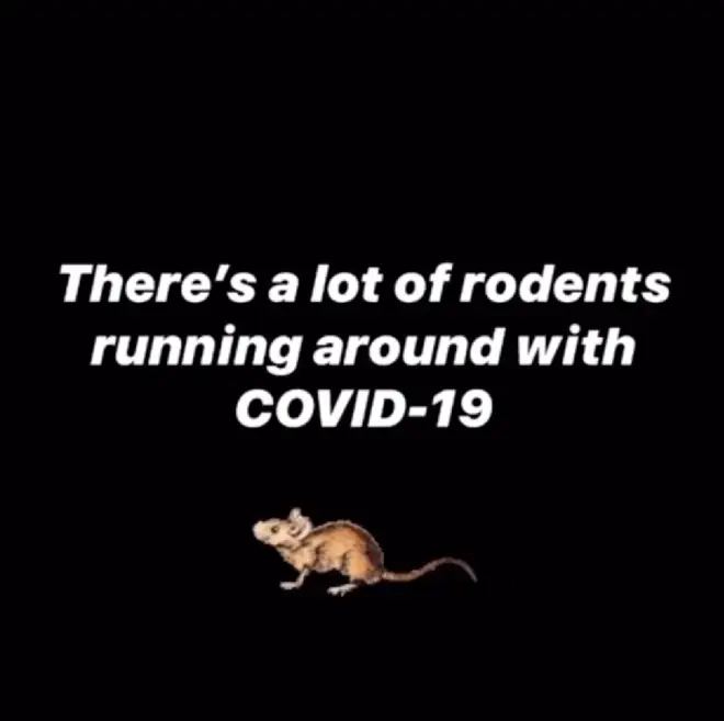 Kim threw shade at "rodents" on social media.