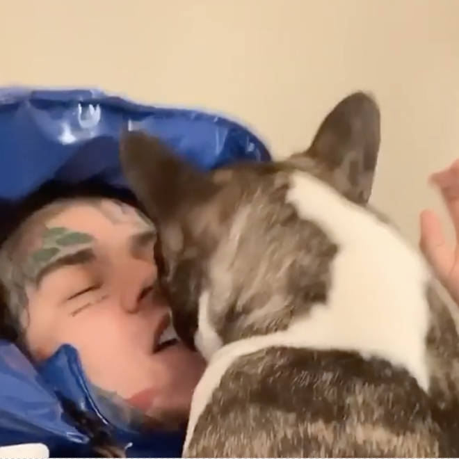 Fans thought Tekashi 6ix9ine was "making out with his dog" during the video.