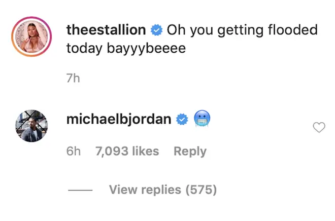 'Black Panther' star Michael dropped an icy face emoji beneath Megan's racy video.