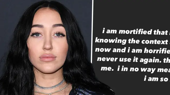 Noah Cyrus issues apology after using racist slur to defend Harry Styles