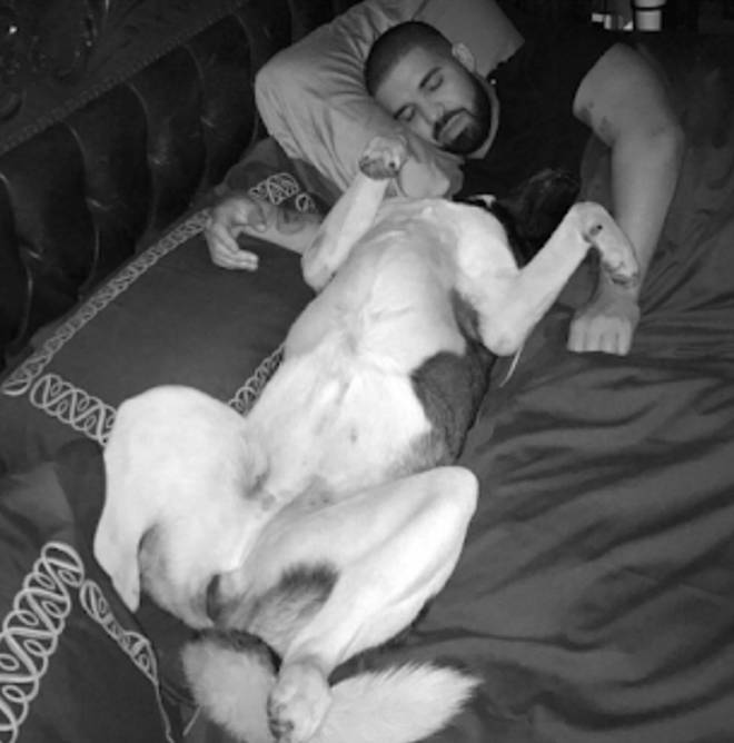 Drake shares a photo of Diamond taking over his bed