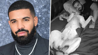 Does Drake have any dogs?