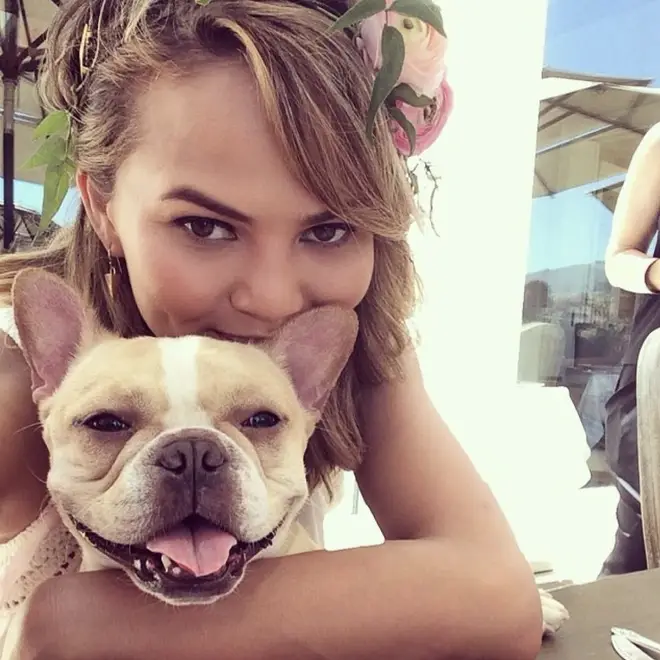 Chrissy Teigen shares a photo of herself and her French Bulldog, Pippa – who sadly passed away.