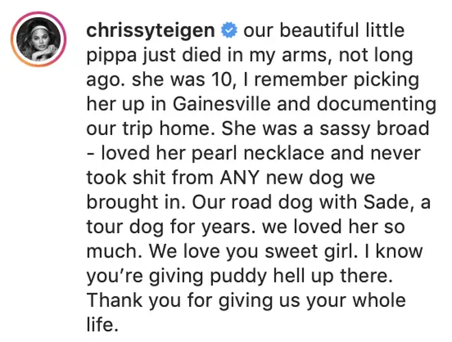 Chrissy Teigen pays tribute to Pippa in an emotional Instagram post.