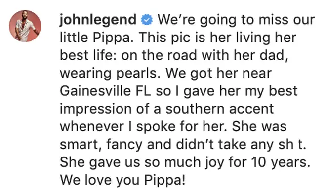 John Legend pays tribute to his and Chrissy's French Bulldog, Pippa.