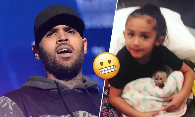 Chris Brown could be facing a six month jail sentence for having a pet monkey.