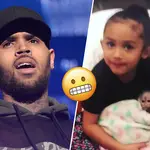 Chris Brown could be facing a six month jail sentence for having a pet monkey.