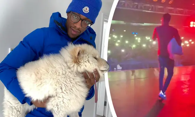 MoStack brought his dog out on stage and it split fans' opinion
