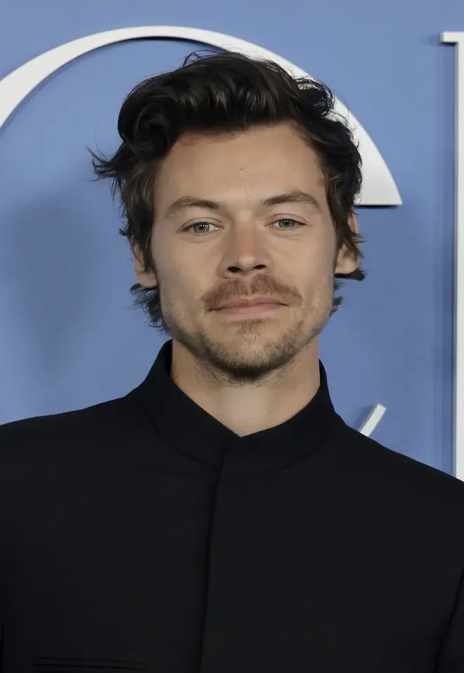 Harry Styles split with Olivia Wilde after a year of dating.