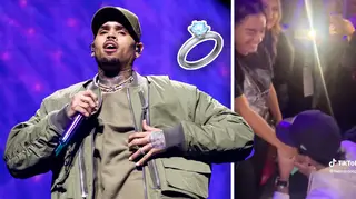 Chris Brown fan proposed to mid-concert