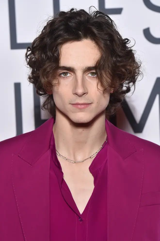 Chalamet is a Hollywood actor, who has dated other actresses like Lily-Rose Depp.