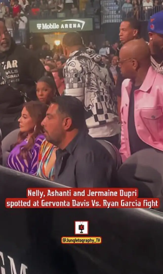 Nelly and Ashanti were spotted sitting next to each other at a boxing game.
