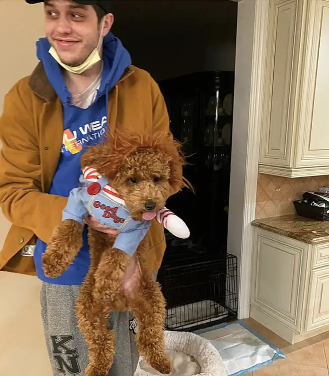 Pete pictured with Henry, his mother's previous cavapoo who sadly died.