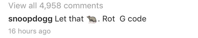 "Let that rat rot," wrote Snoop.