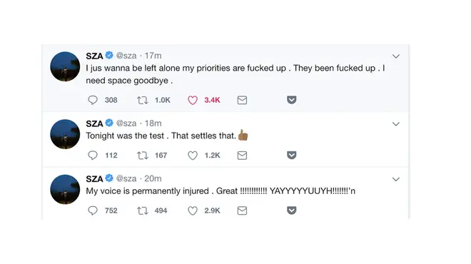 SZA Deleted Tweets About Her Vocal Chords